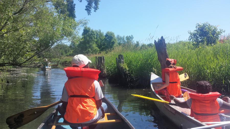 High PFAS toxin levels found in Starkweather Creek sediment [by Truax Field ANG base]