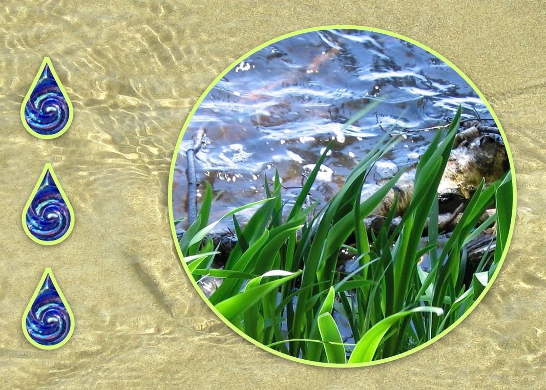Water is Life Event: Apr 3 @ 12 -3 pm City-County Bldg, Madison